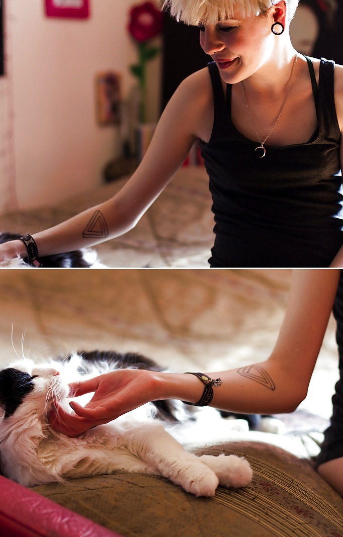 Nur - Chaton #36954357