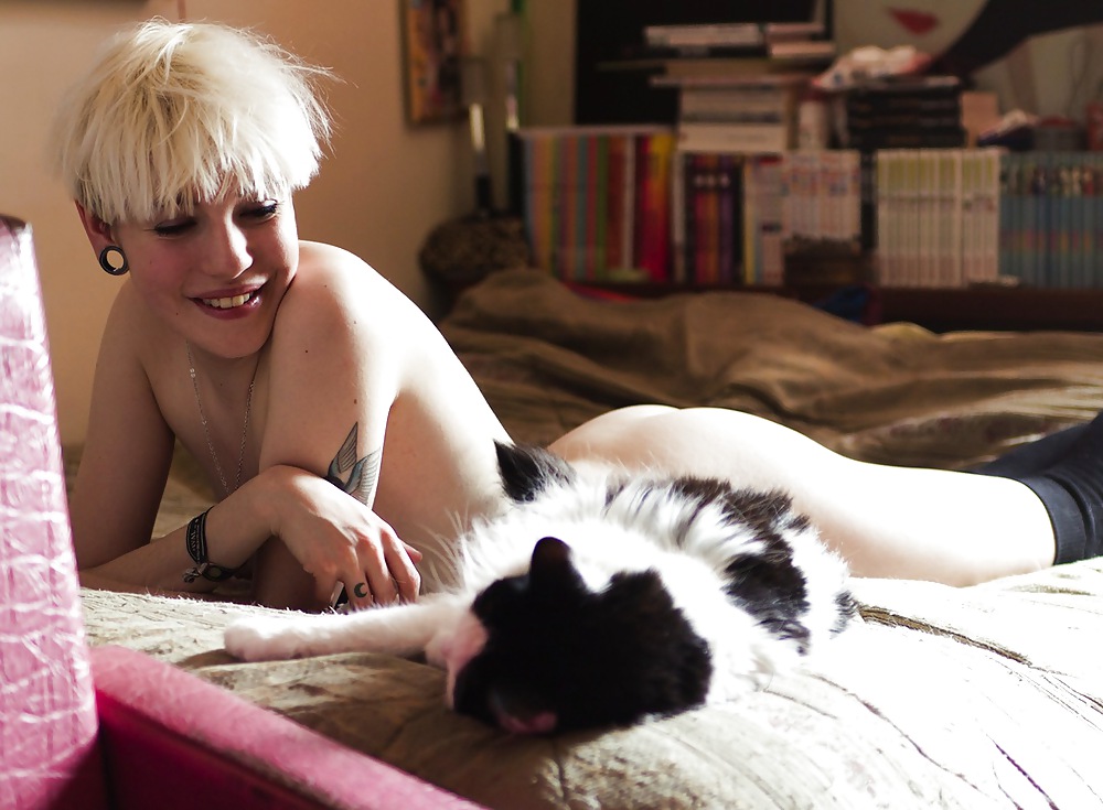 Nur - Chaton #36954474