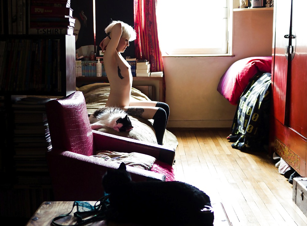 Nur - Chaton #36954482