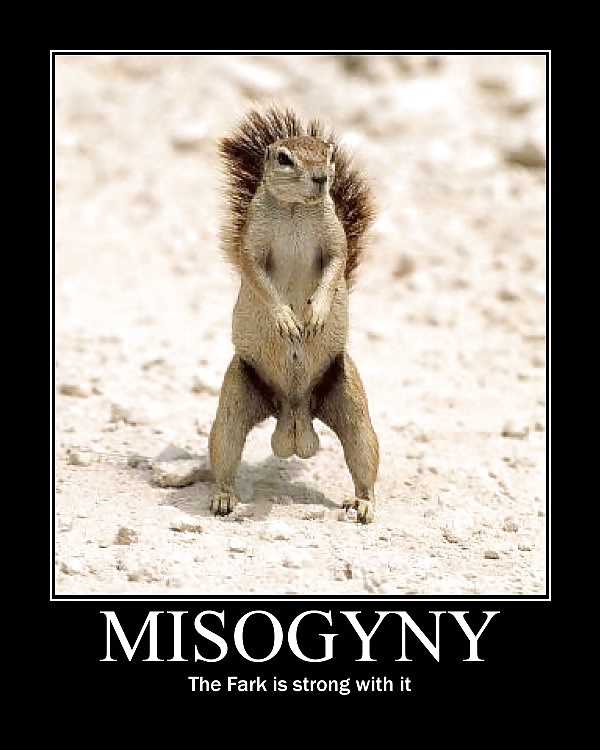 Mysogyny Potpourri #28118639