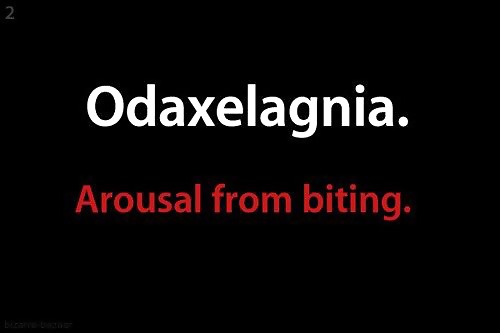 ファンタジー
 #40402069