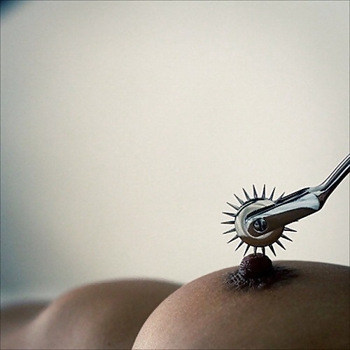 ファンタジー
 #40402093