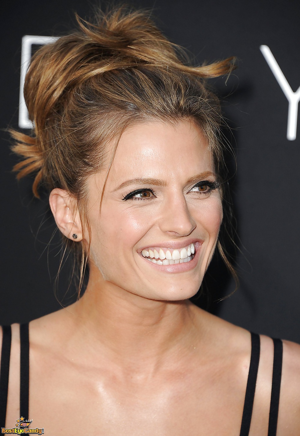 Stana Katic #40379252