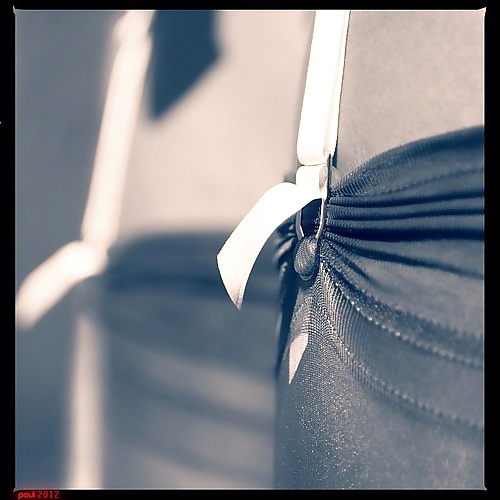 Garters 1 #29428193