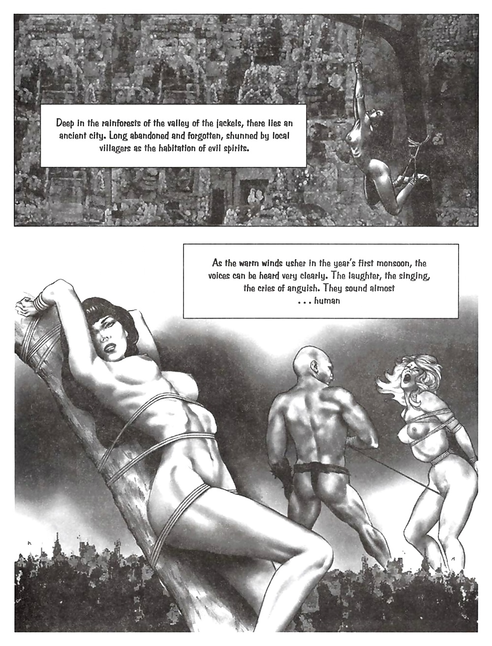 Paulo & norren
 #30017421