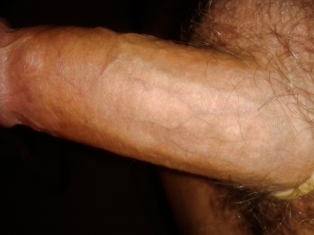 Cock #34091805