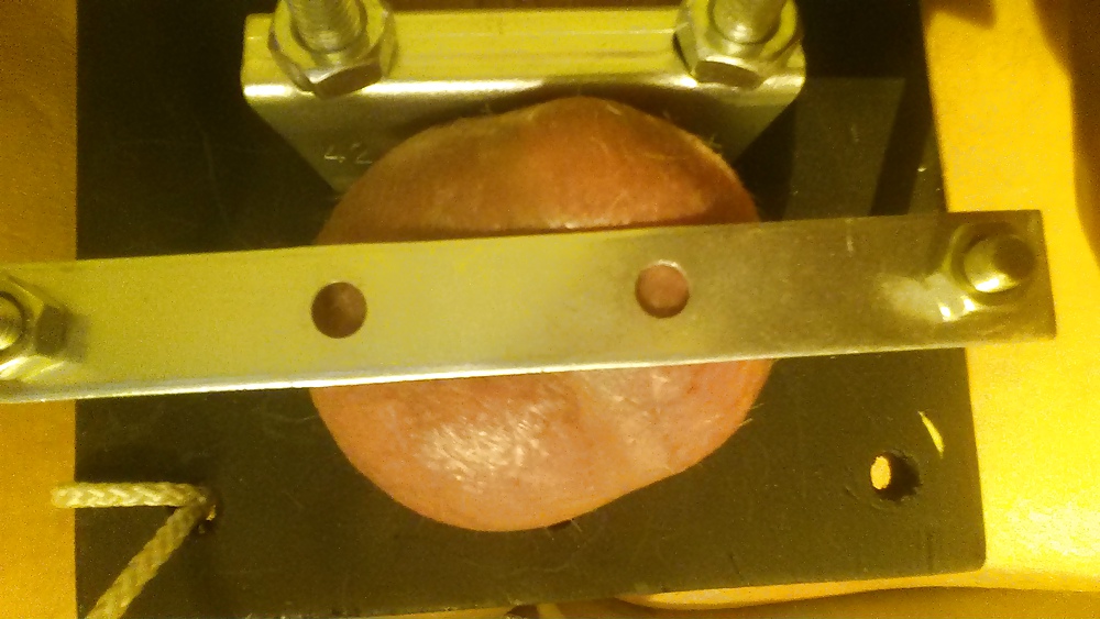 Torture board prototype #37123267