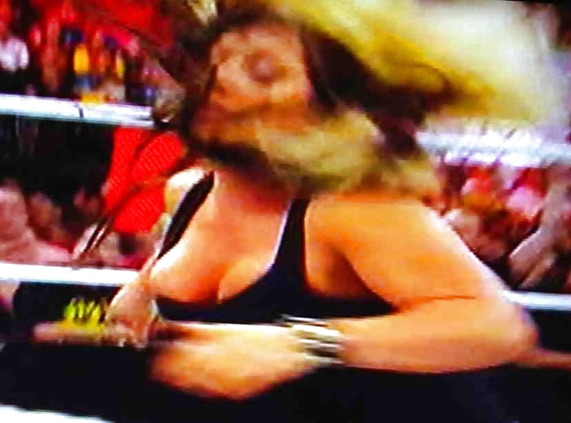 WWE Kaitlyn Raw Nipslip  #24172344