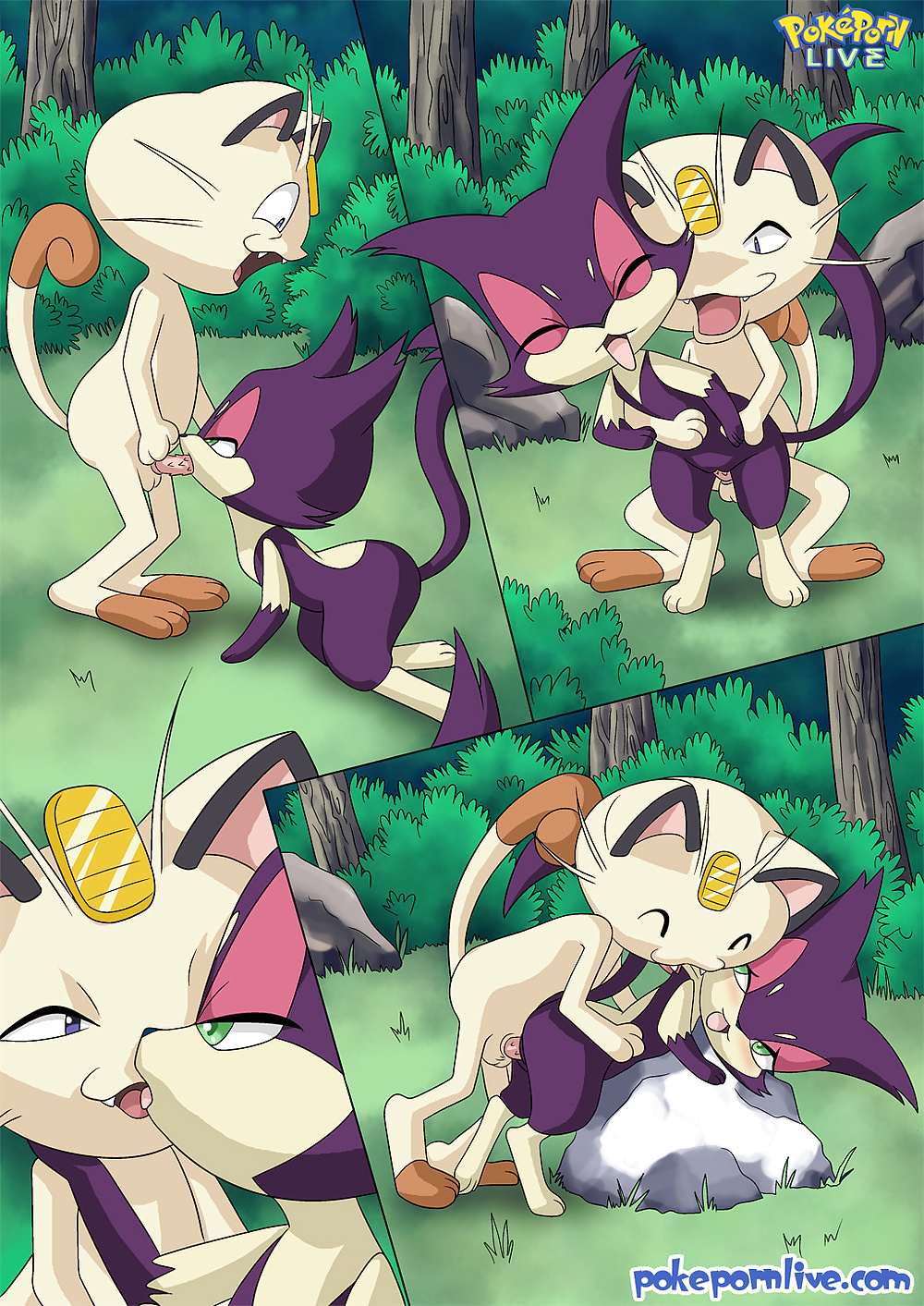 Pokeporn Live-The Cat's Meowth #35303284