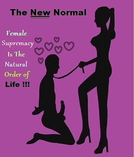 The New Normal - Women control - men suffer #32027638