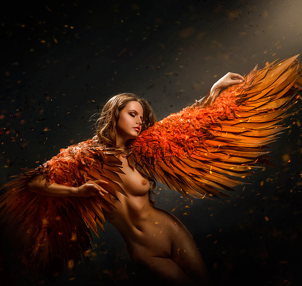 Rebirth of the Phoenix... #28469138