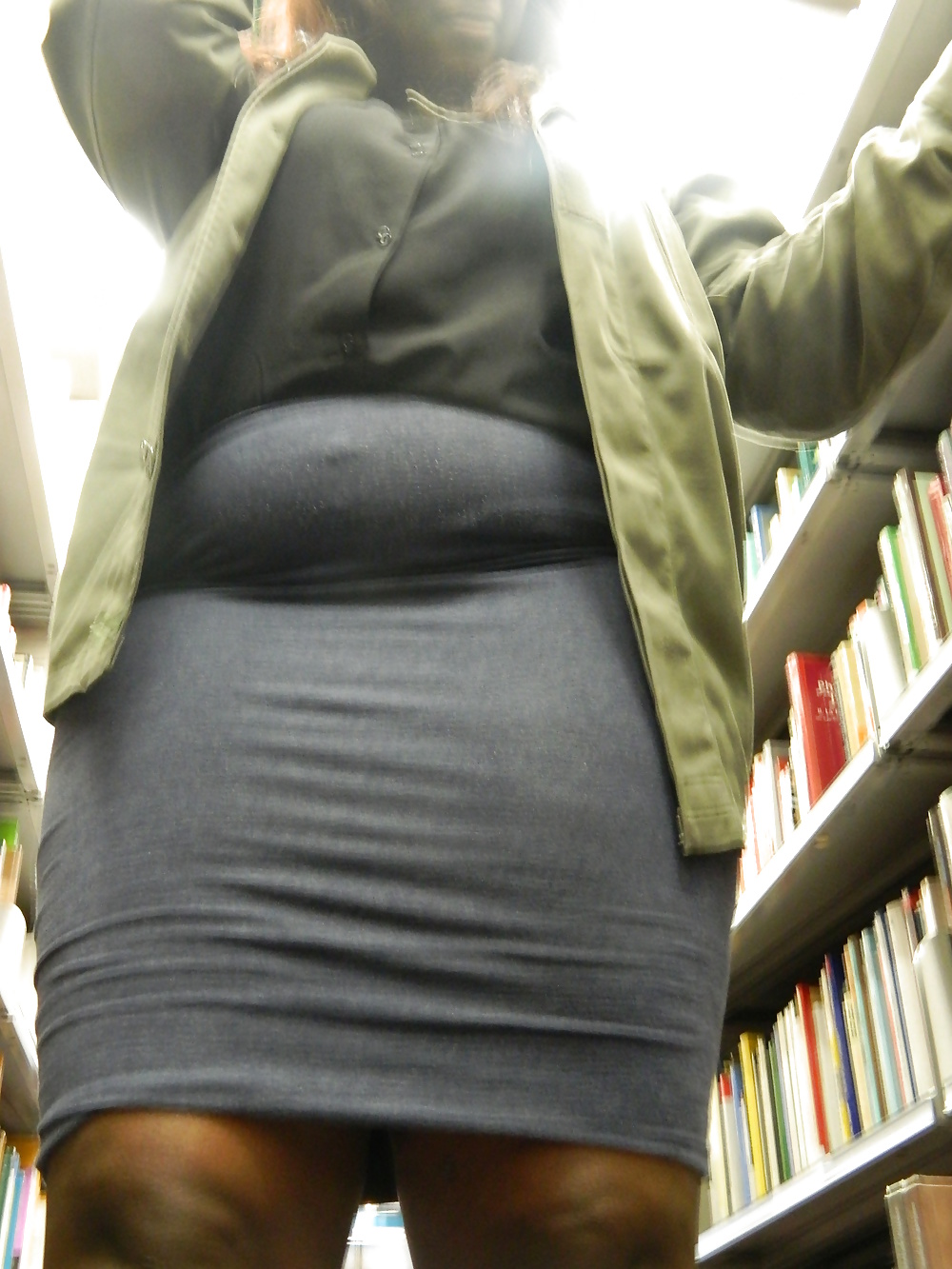CHUBBY IN THE LIBRARY BOOKSHELF #34340244
