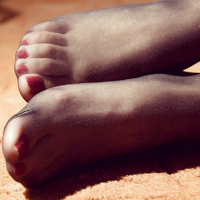 素晴らしいナイロンフィート
 #39639283