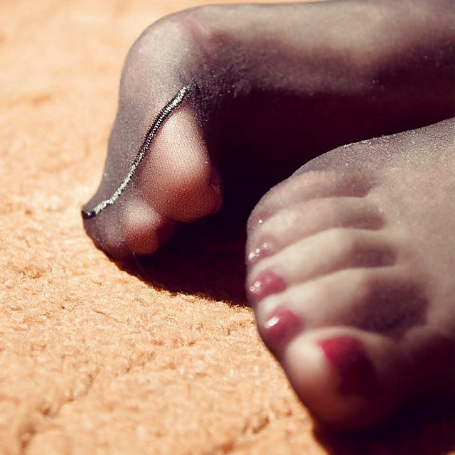 素晴らしいナイロンフィート
 #39639286