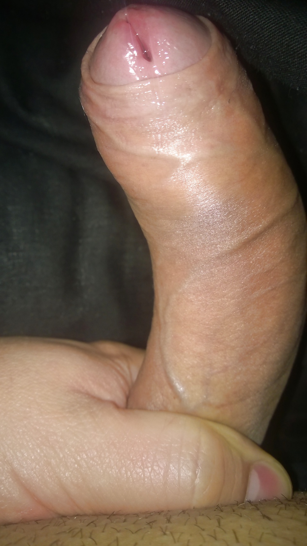 Madera de la mañana
 #33004246