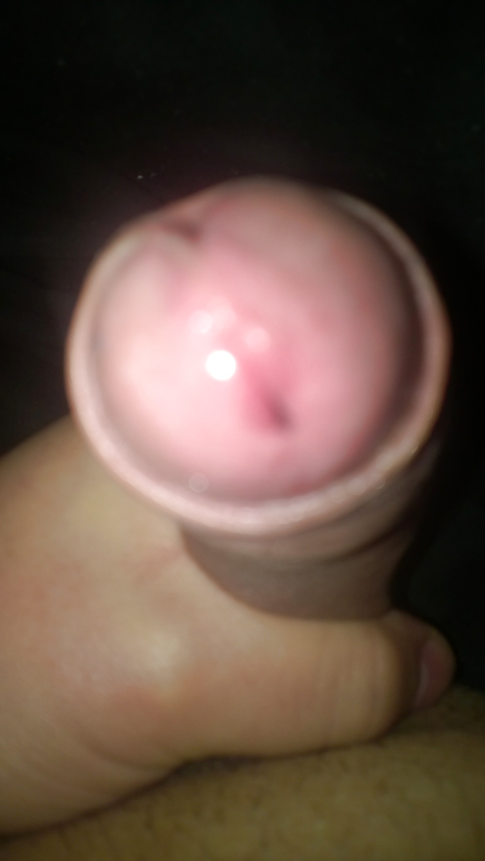 Madera de la mañana
 #33004253