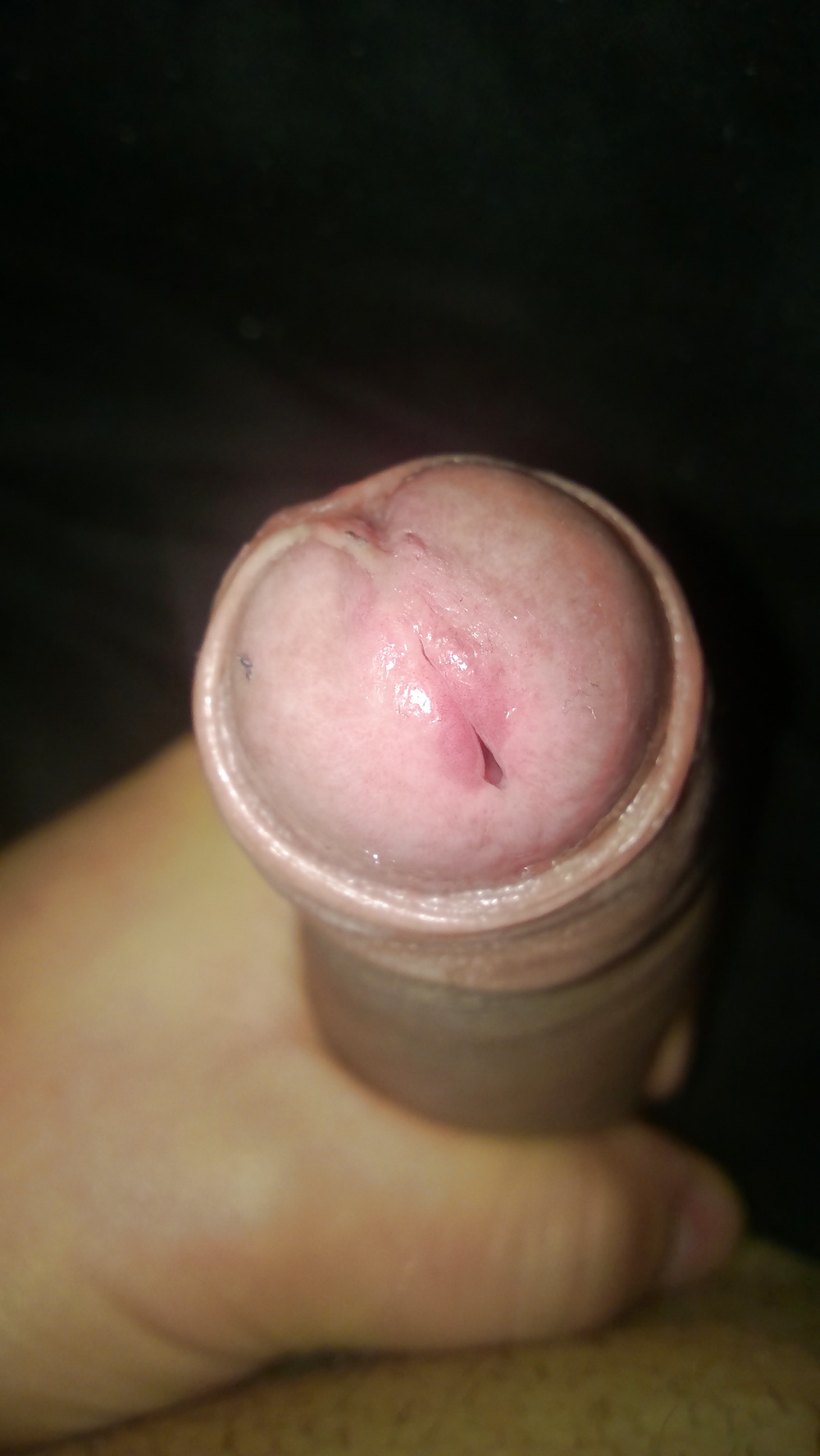 Madera de la mañana
 #33004258