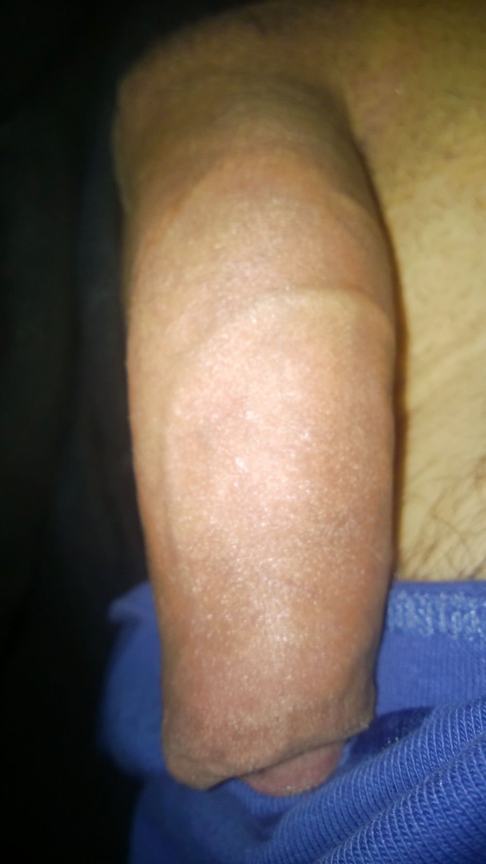 Madera de la mañana
 #33004262