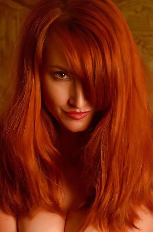 赤毛、赤髪、ソフトコアの赤毛美女たち。
 #36644876