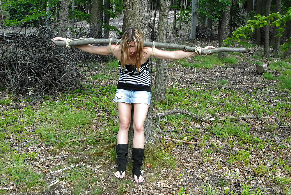 Tied Up In The Forest #36788449