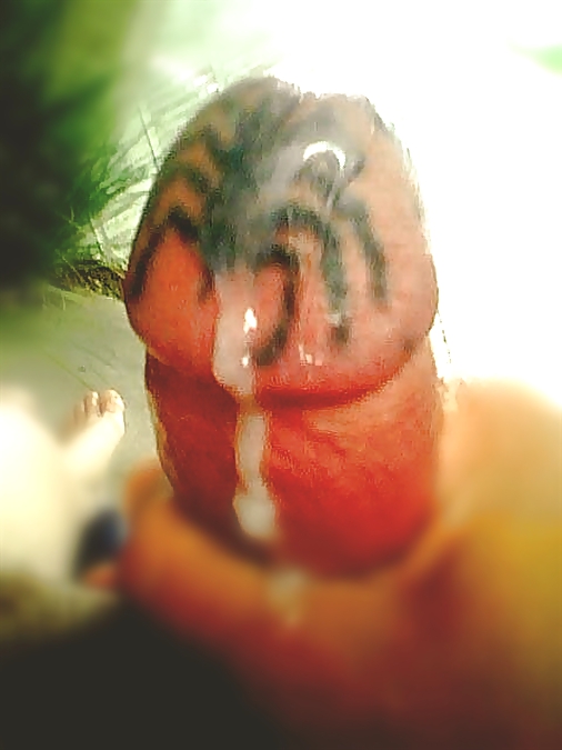 Schöne Penis #37463261