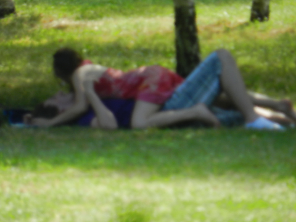 Couple fucking in the park #26942499