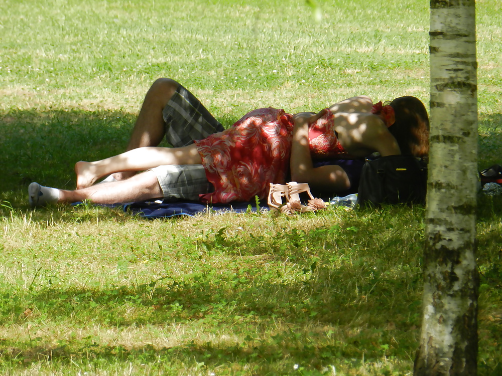 Couple Baise Dans Le Parc #26942523