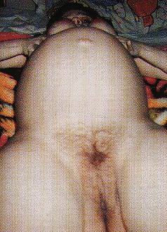 Pregnant brunette posing her lovely belly #34568920