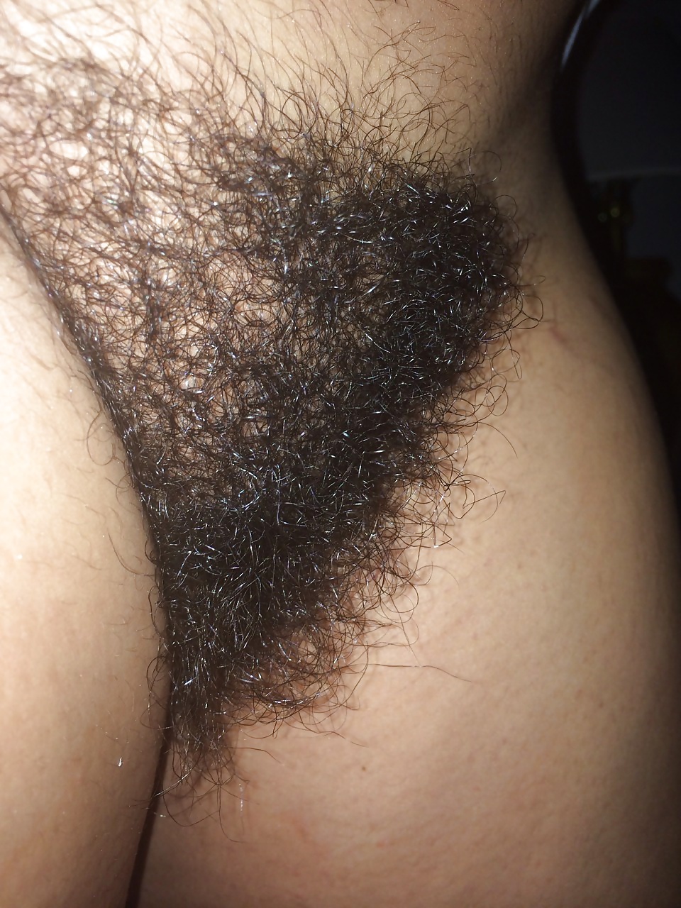 Very Hairy Women #30889247