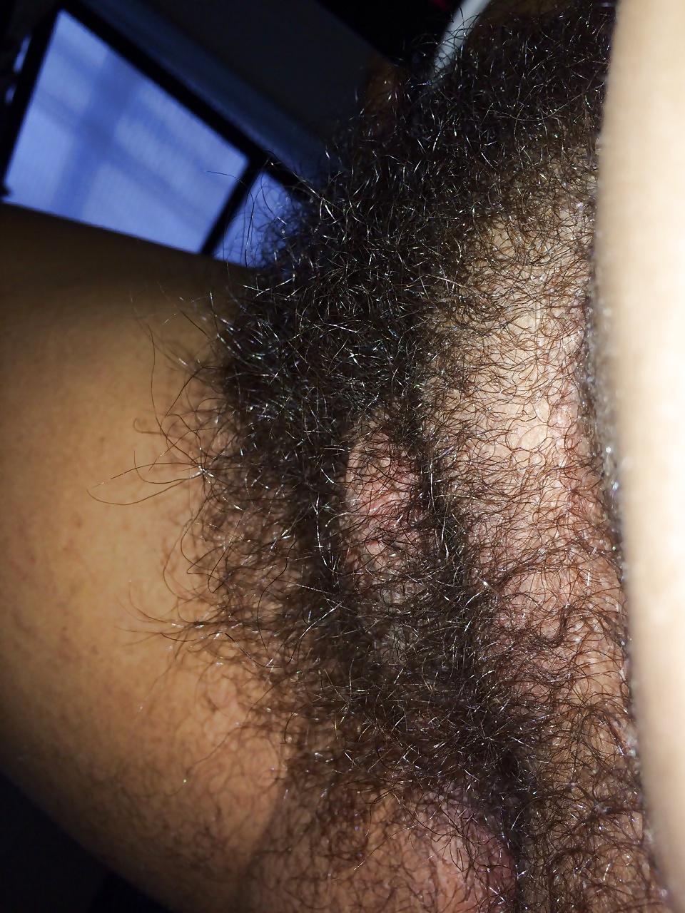 Very Hairy Women #30889356