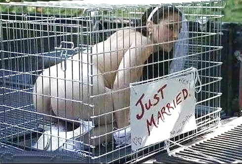 Los cachorros necesitan un nuevo hogar
 #31274016