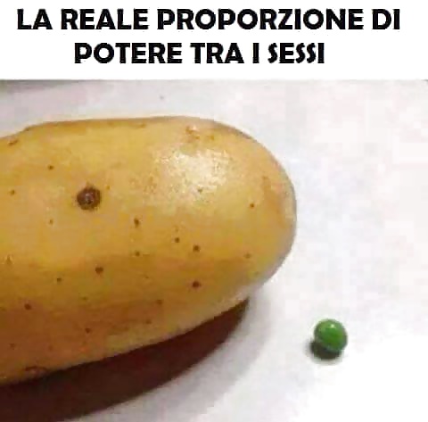 X i maschi di xhamster
 #29336506