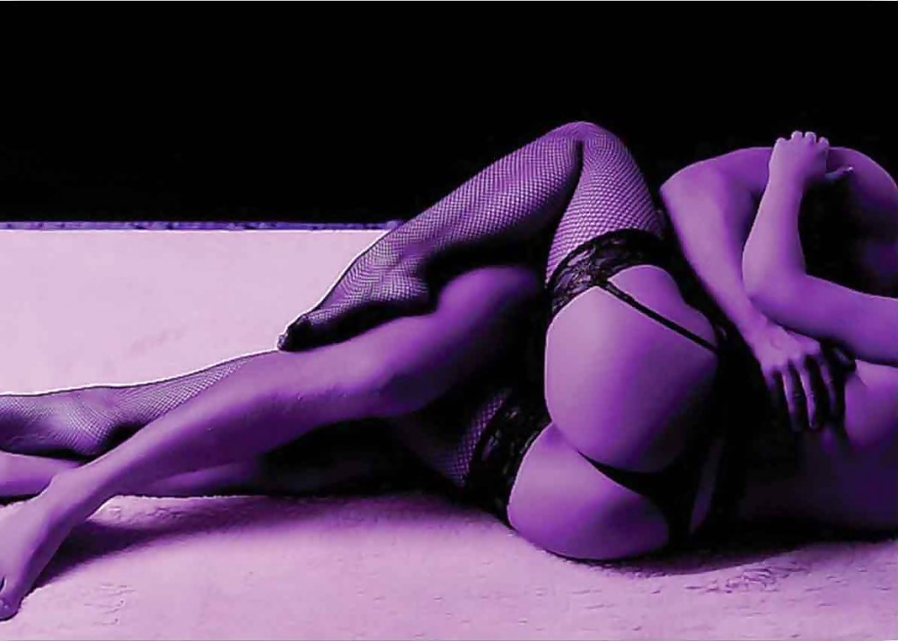 Purple of Erotica #23586065