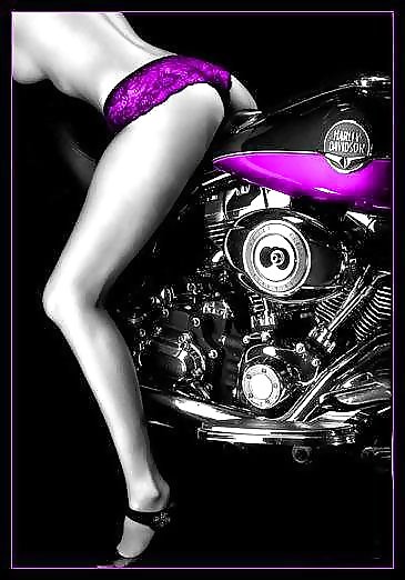 Purple of Erotica #23586124