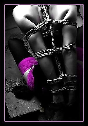 Purple of Erotica #23586204