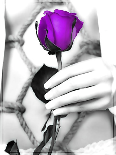 Purple of Erotica #23586213