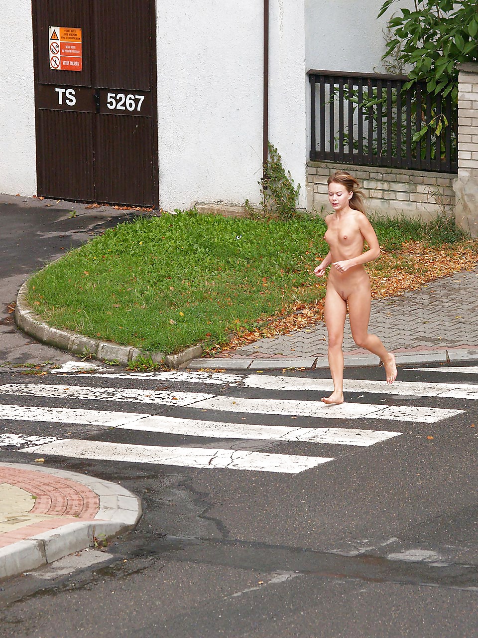 Nude in public 22 #31889566