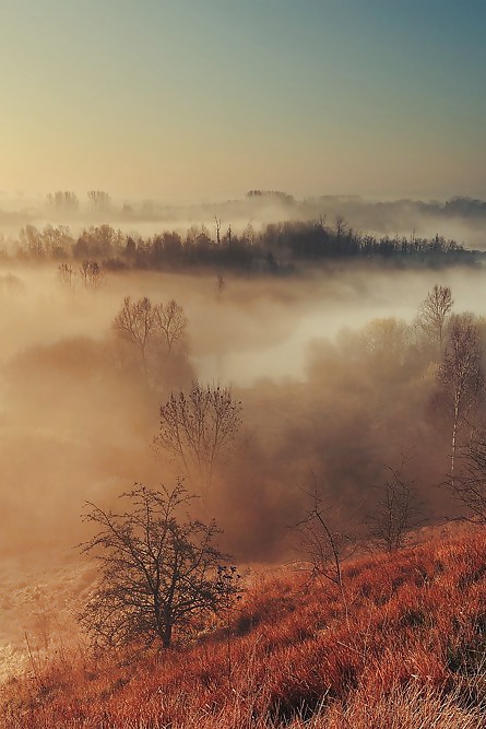 ゴールドシーズン....
 #31855698