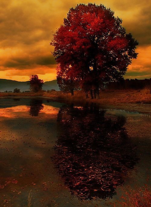 ゴールドシーズン....
 #31855703