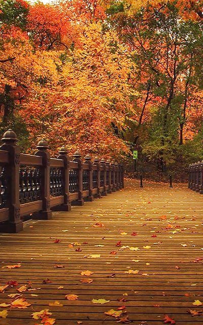 ゴールドシーズン....
 #31855706