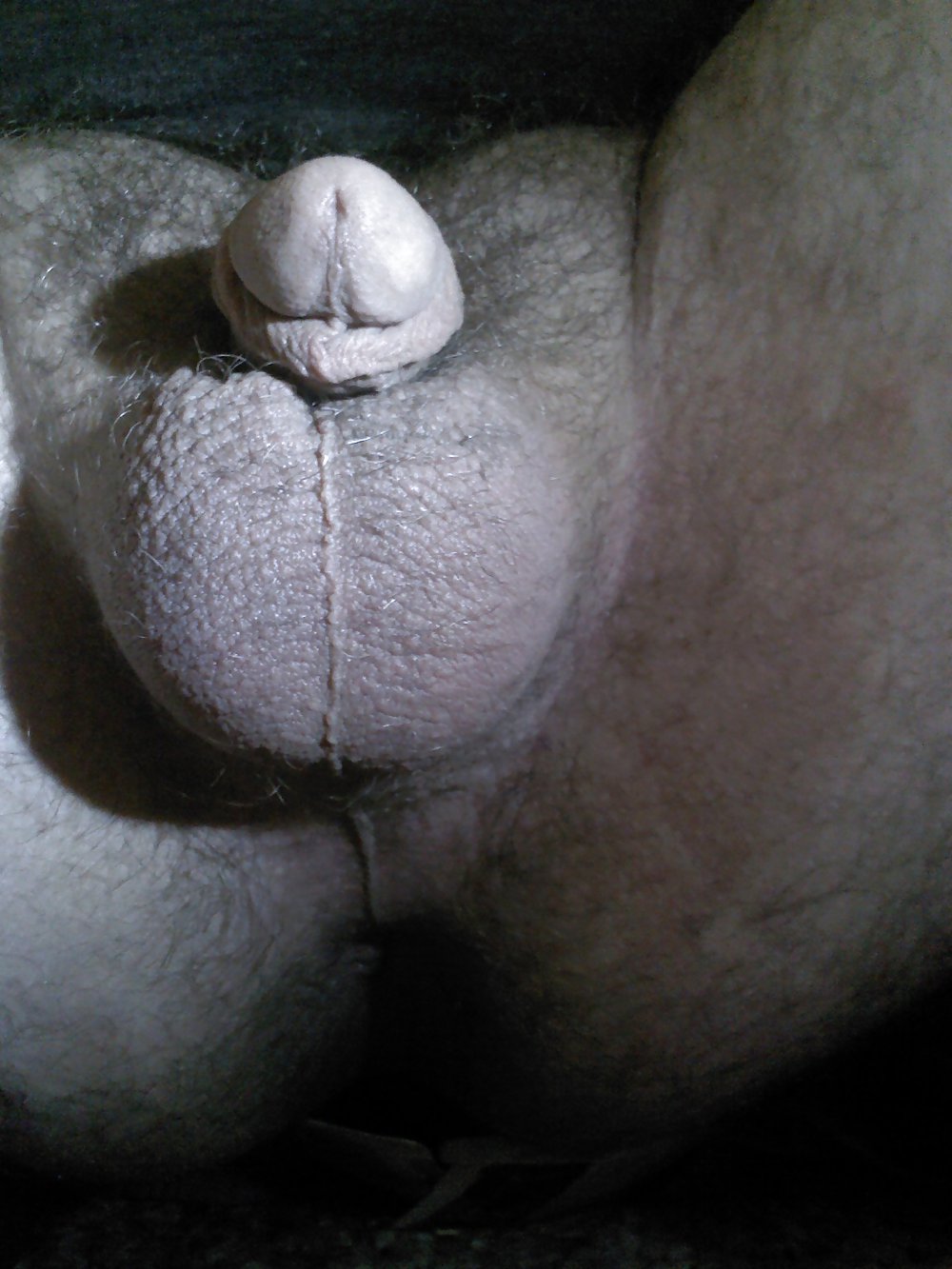 Pequeño viejo yo
 #37564740