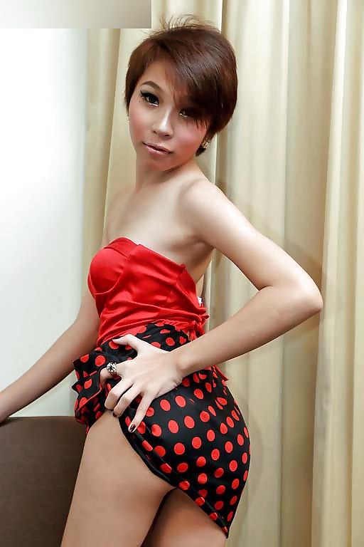 Lindo ladyboy35
 #38950040