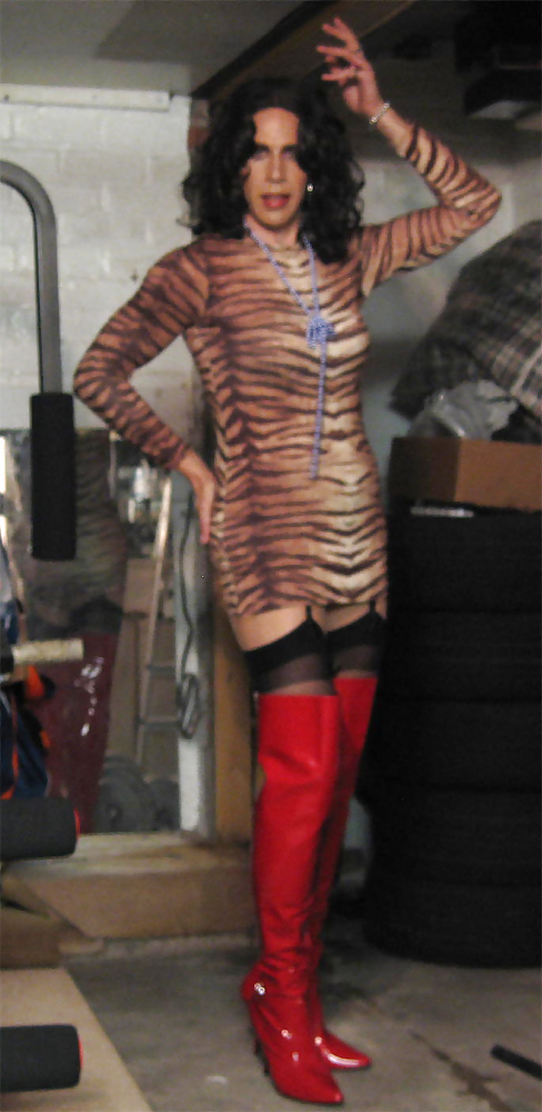 Tiger in red boots #35249242
