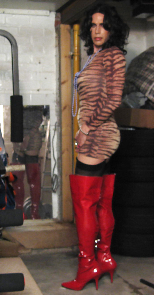Tiger in red boots #35249250
