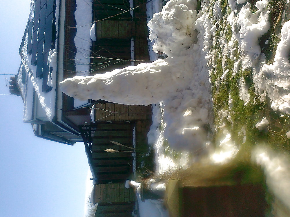 Nuestro 5ft .... 
 #36176122