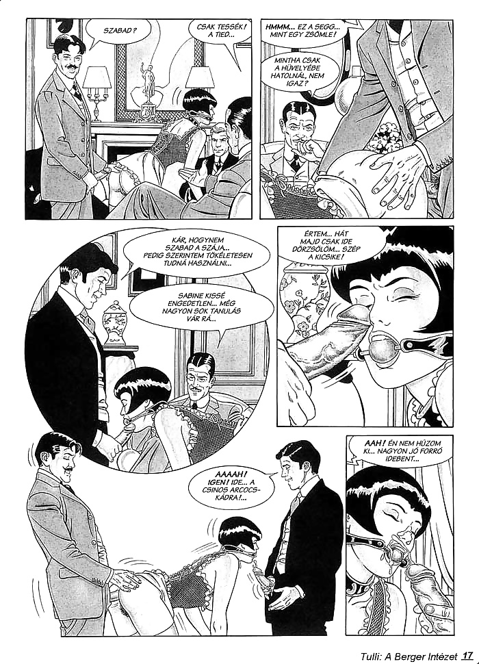 A berger intezet(HUN) #28223205