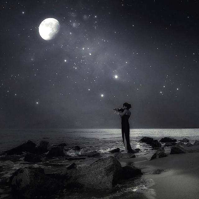 雨はどこへ行った？
 #39424827