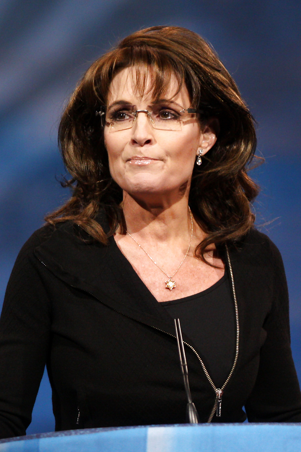 Non posso smettere di masturbarmi con la conservatrice Sarah Palin
 #24577078