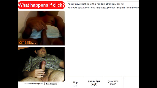 Omegle Hahn #26656344