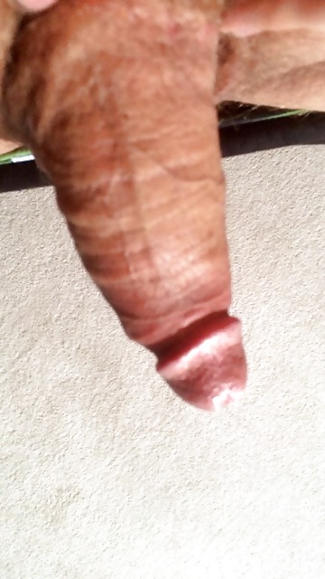 Steiferschwanz  #32815095